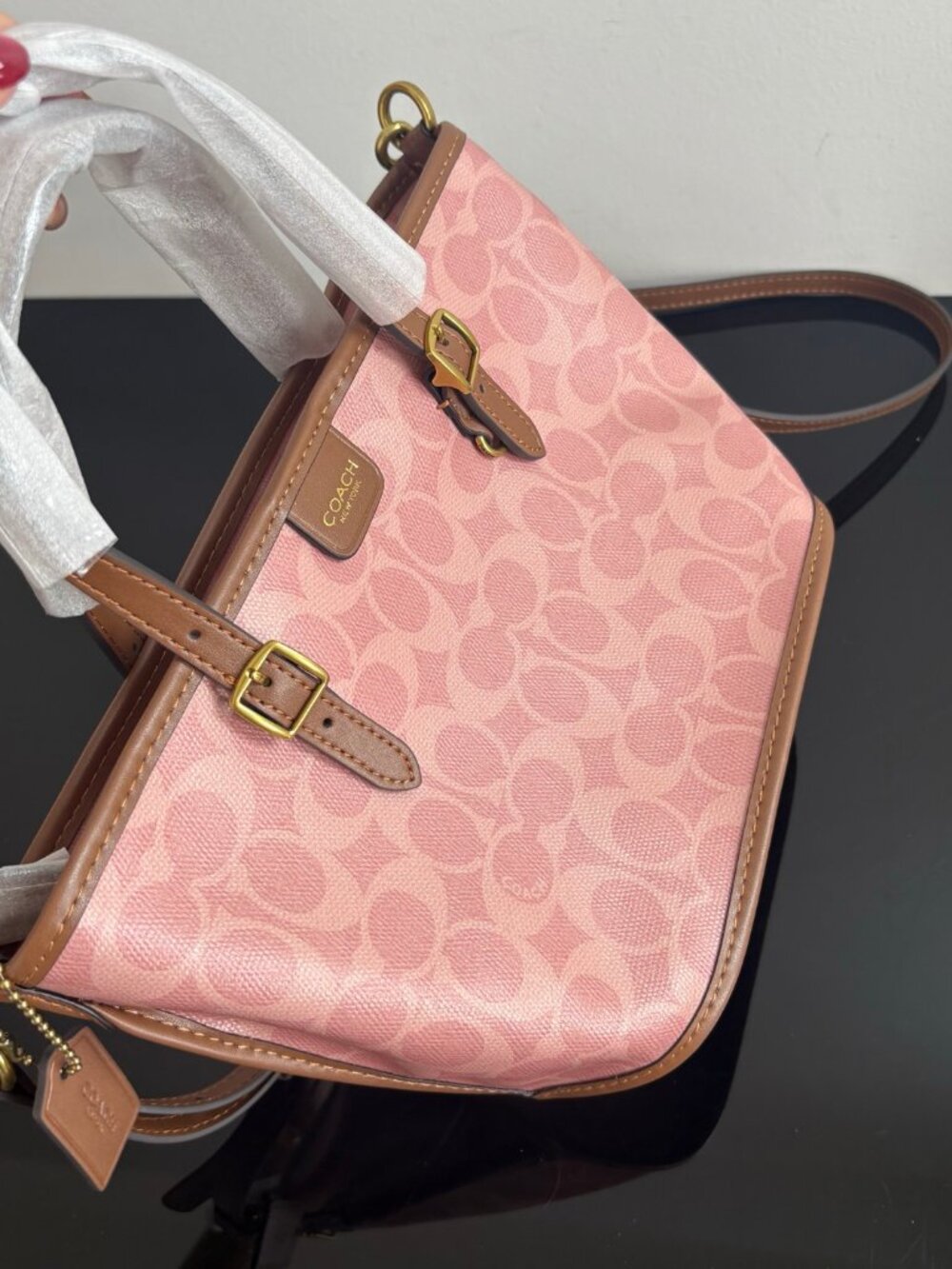 Coach Taxi 21 Ping Mini Tote